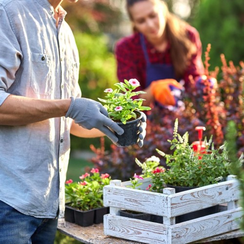 Rejoindre une communauté de jardiniers engagés sur la métropole de Rouen