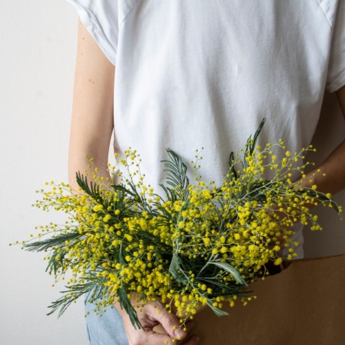 Des fleurs pour soutenir la recherche contre le cancer 