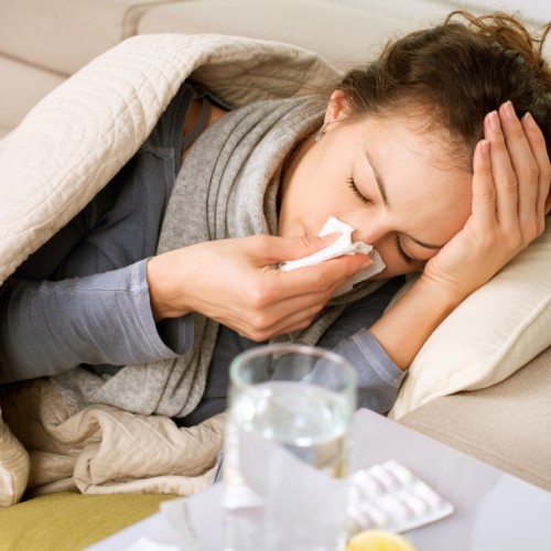 Des volontaires pour combattre la grippe ? 