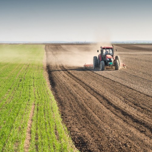 Agriculture : s’adapter au dérèglement climatique, dès maintenant 