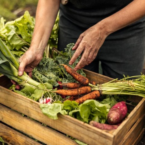 Comment œuvrer en faveur de la transition écologique et alimentaire à Nantes ?   