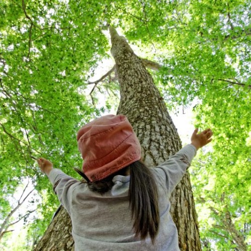 Des ateliers pour découvrir la filière bois à Nantes
