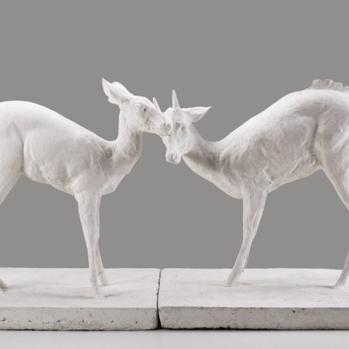 L'animal exposé au musée d'art moderne 