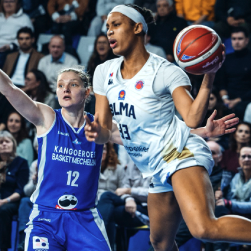 Basket-ball : le BLMA en route pour les demi-finales