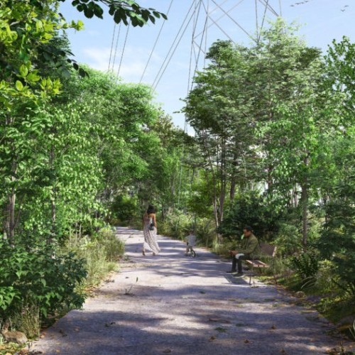 Un nouveau parc au Petit Rhin