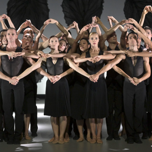 Un ballet entre 2 saisons à l'Opéra Berlioz