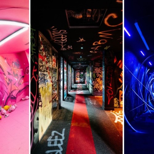 Zoo Art Show, l'art urbain de la rue au musée à La Défense