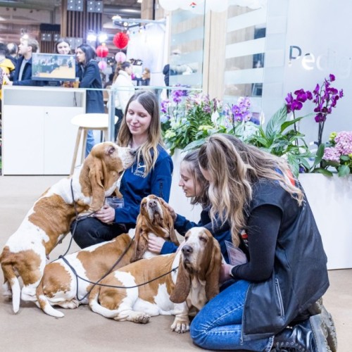 Salon de l’agriculture 2026 : chiens et chats de race à l’honneur