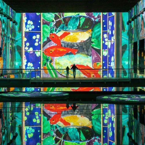 Les rendez-vous du week-end du 7 février 2026 à Bordeaux