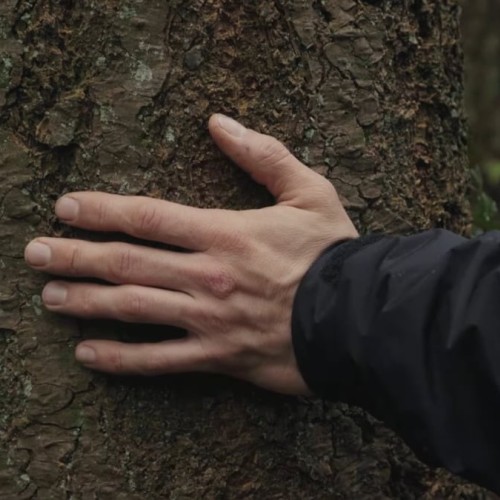Forêt Rouge, un autre regard sur Notre-Dame-des-Landes 