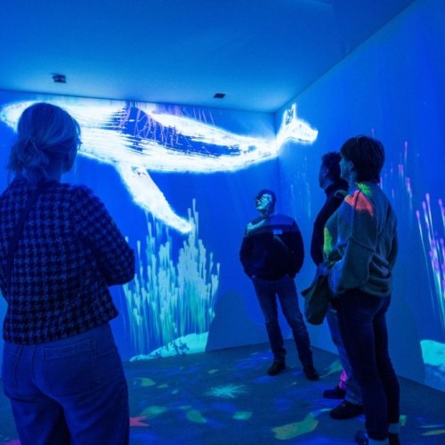 Une installation immersive à La Casemate (Grenoble)