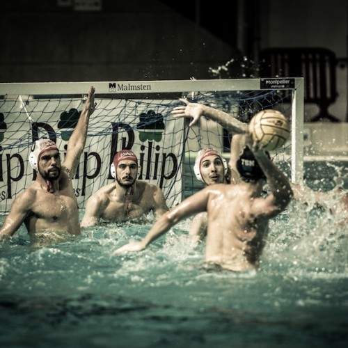 L'entretien : Montpellier, « une place forte du water-polo » ‍️