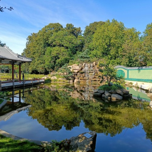Rennes : découvrez les secrets du jardin chinois de Maurepas