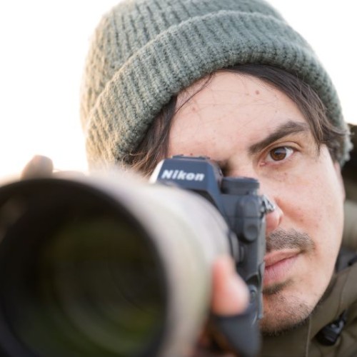 Rémi Schnell, photographe animalier près de Nantes