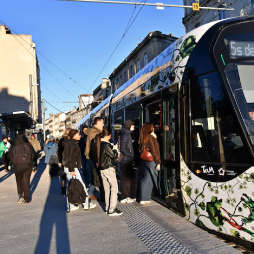 Le réseau TaM se renforce au Nord
