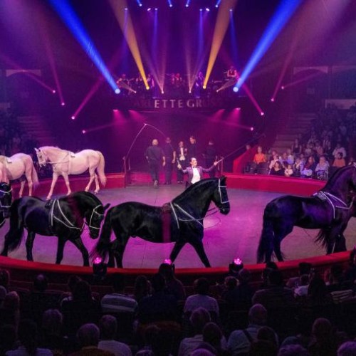Le nouveau spectacle du cirque Arlette Gruss 