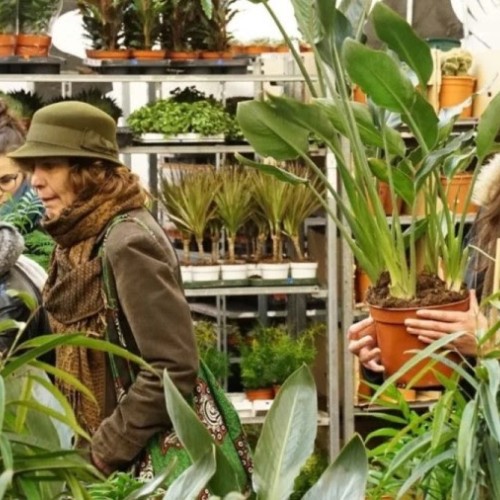 Grande vente de plantes durant trois jours 