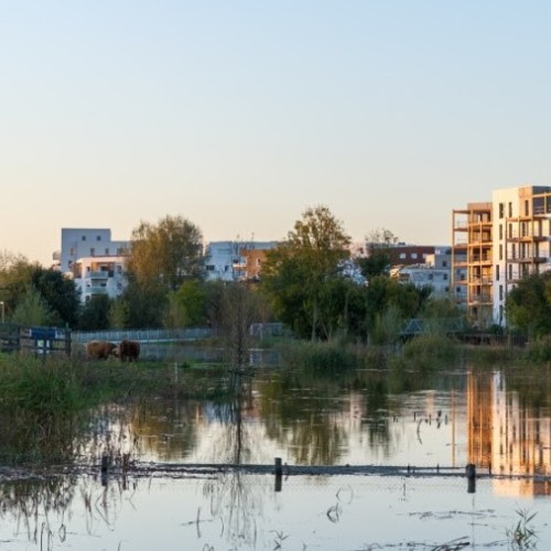 Crues : à Rennes, de premières mesures de précautions face aux risques d'inondation