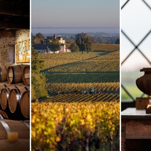 Près de Bordeaux, des vignes séculaires au Château Sigalas Rabaud