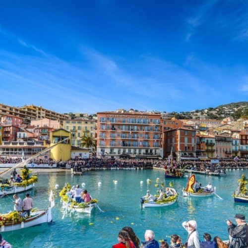 Des fleurs sur l'eau à Villefranche 