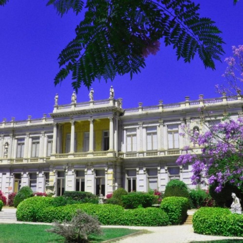 La Villa les Palmiers : immersion sur un site remarquable 