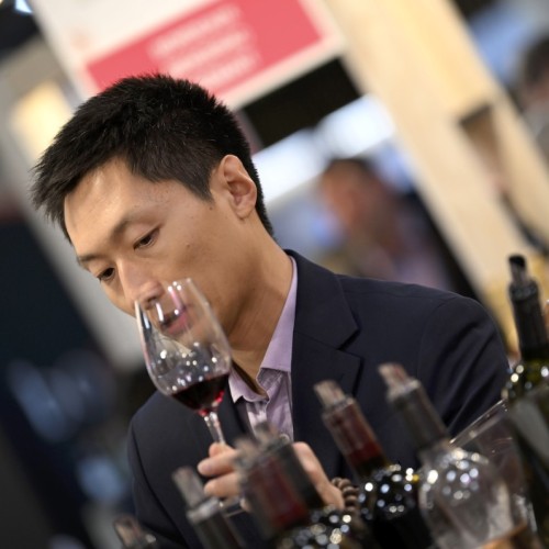 Le vin du Sud brille à Paris