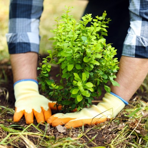 Un concours pour valoriser les espaces verts exceptionnels