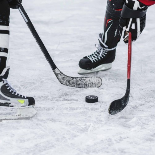 L'Agenda sportif du 13 au 15 mars 2026 à Rouen