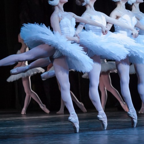 Gagnez vos places pour le Lac des Cygnes 