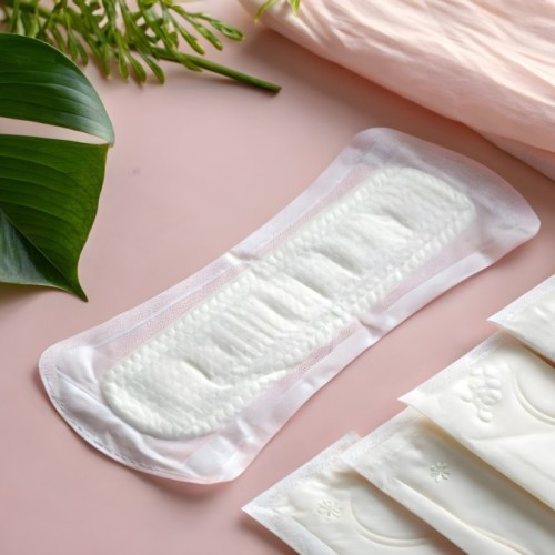 Lyon : 80 jours de lutte contre la précarité menstruelle