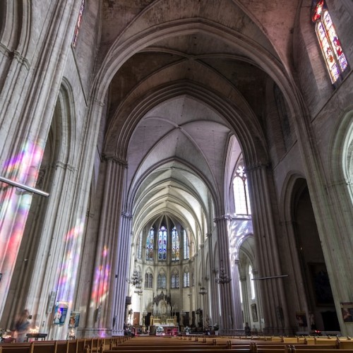 Diocèse de Montpellier : Début de la Semaine Sainte