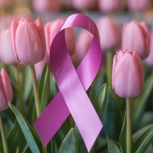 Des tulipes pour soigner le cancer à Rouen