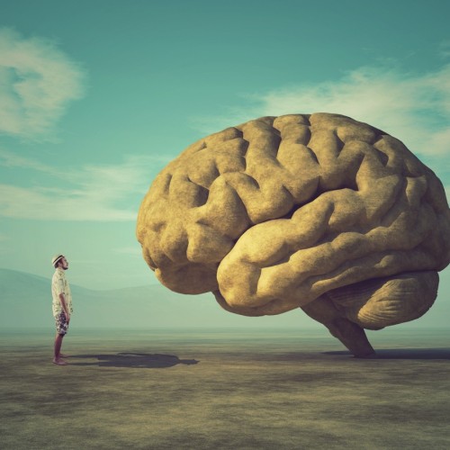 À Lyon, la Semaine du cerveau s'étend sur un mois !