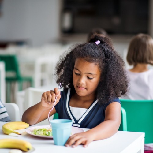 Cantine et garderie : les inscriptions débutent 