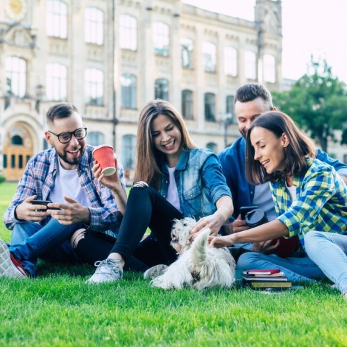 Première en France : des chiens sur les bancs de la faculté à Orléans