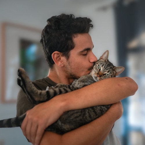 Campagne vidéo « J’accueille un animal de compagnie » pour lutter contre l'abandon