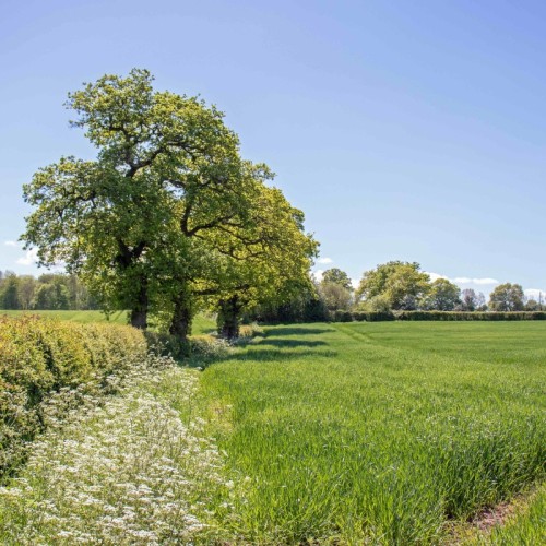Rennes : une rencontre pour imaginer l'avenir de l'agriculture d'ici dix ans
