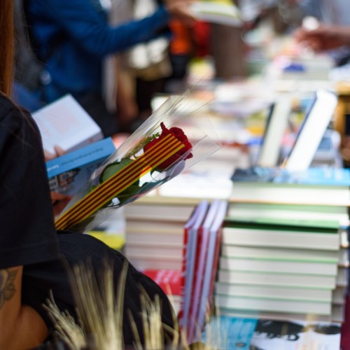 Que faire à Rennes le week-end du 14 et 15 mars 2026