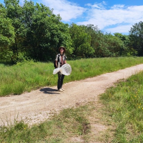 L'entretien : « agir pour la biodiversité »
