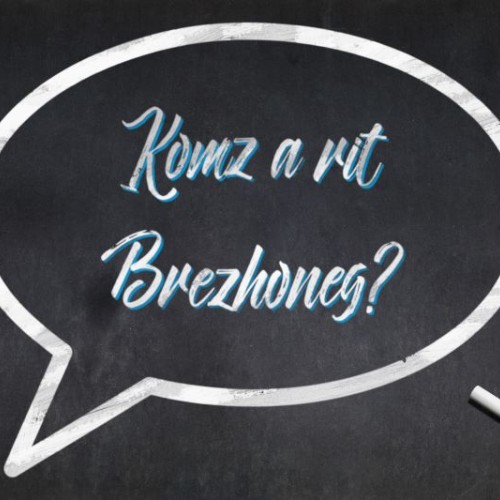Comment transmettre la langue bretonne ? 
