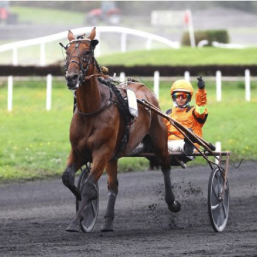 Marseille-Borély accueille le Grand National du Trot