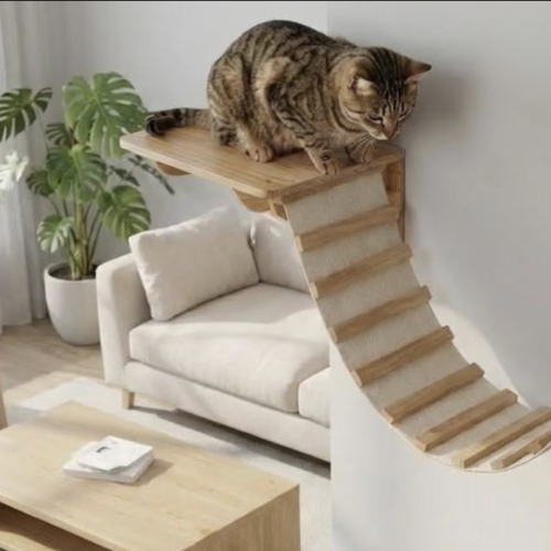 Connaissez-vous la barkitecture ?