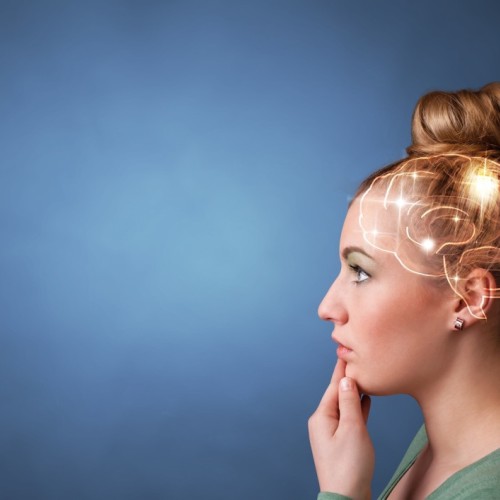 Les connexions de notre cerveau