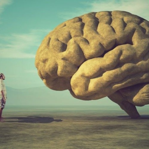Des conférences pour mieux comprendre notre cerveau à Nantes
