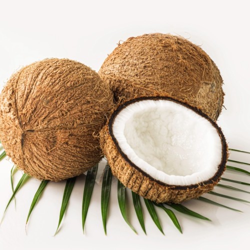 Recycler les noix de coco, une solution qui fait ses preuves