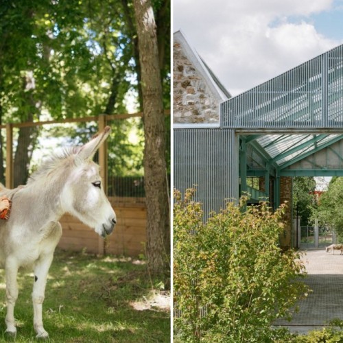 Nouvelle ferme, promenade, musique... Des nouveautés ce week-end à La Villette 