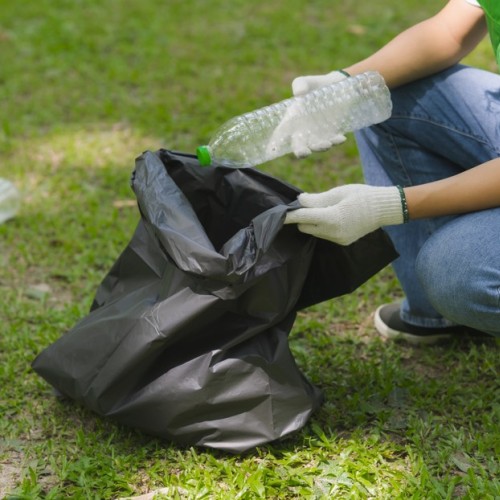 Dépollution citoyenne à la Petite-France