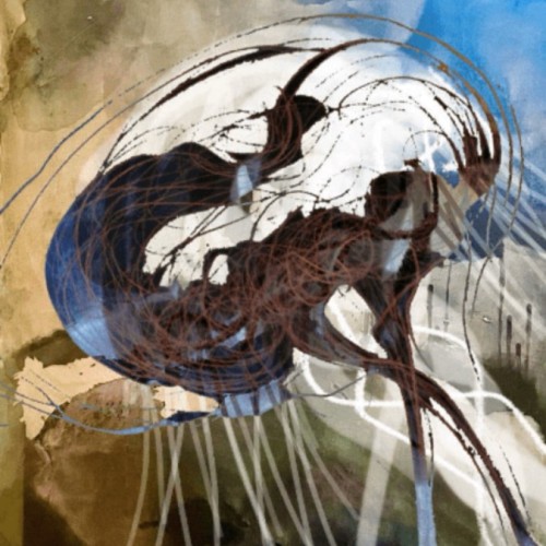 Une exposition à Bordeaux sur la biodiversité marine
