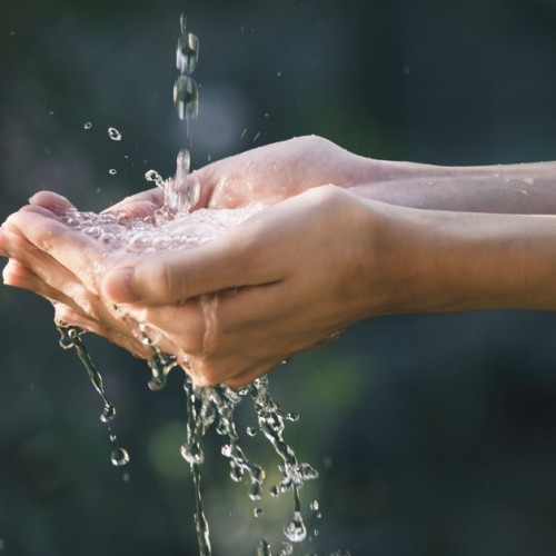 L’eau en scène à l’ENGEES