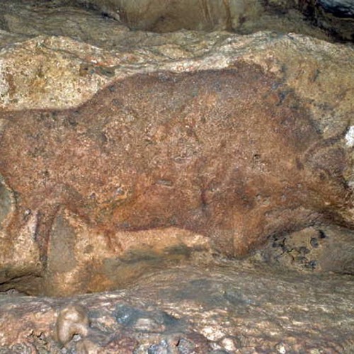 En Dordogne, une grotte abrite des peintures paléolithiques 